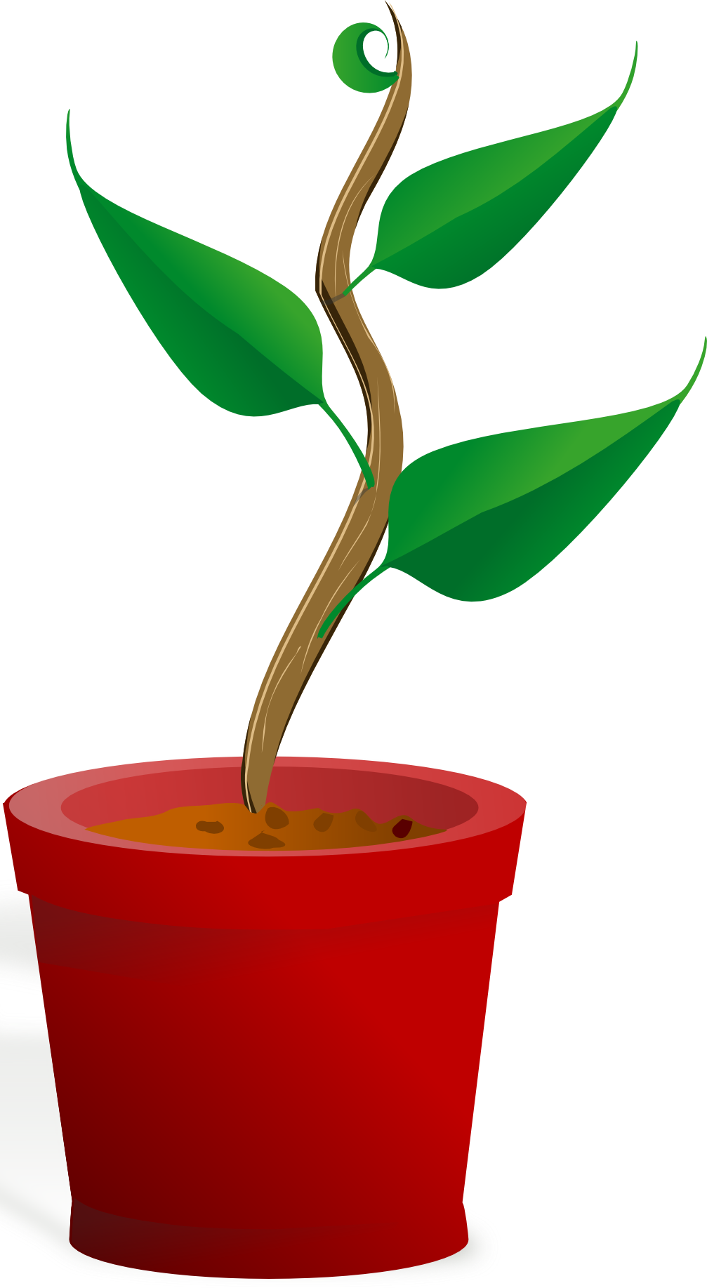 flowerpot-potrait