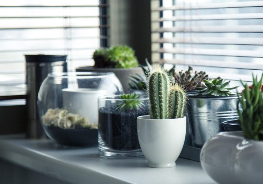 windowsill